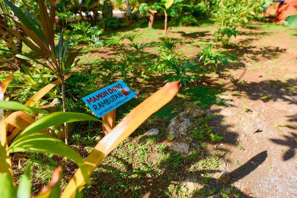 Casa Kristel - Exquisite Villa Getaway Puerto Viejo de Talamanca 외부 사진
